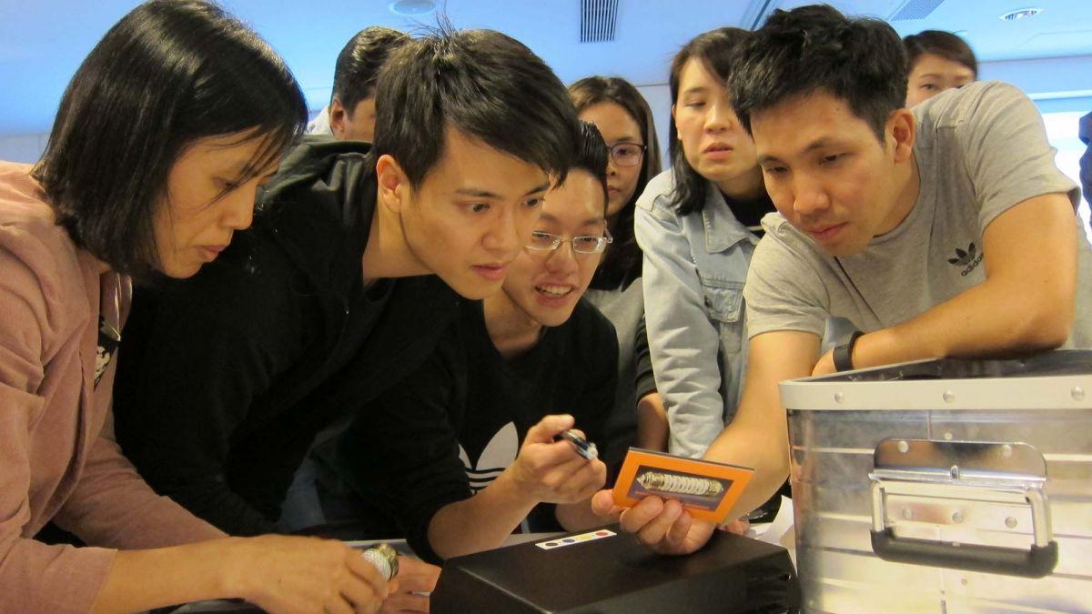 employees collaborate at rewarding team building challenge - new