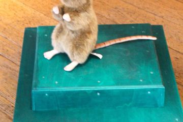 collaborative team work exercise