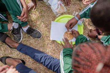 squad game team building