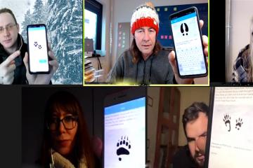 Virtual Survival Team Building