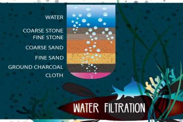 island Survivor online team building