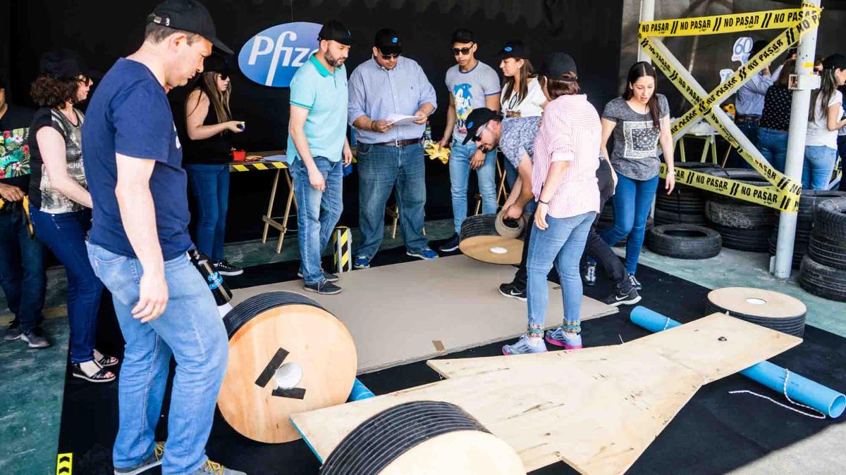 project management skills catalyst chile