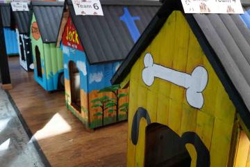 dog kennel team building activity