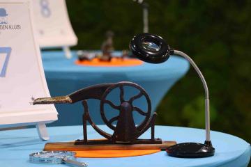 the curio show evening team building activity