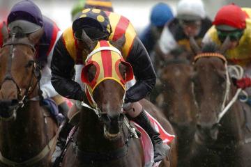 horse racing online for teams