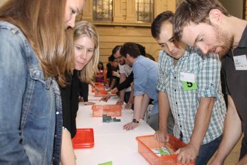 the domino effect creative team building activity