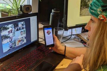 island Survivor remote team building